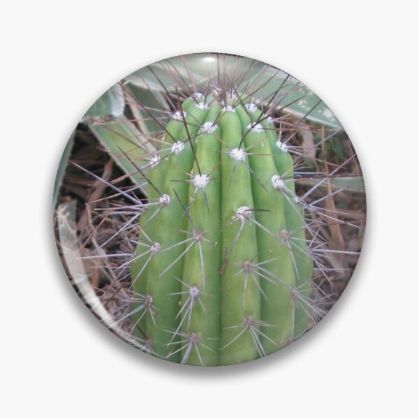 Item preview, Cactus verde con púas designed and sold by KeksWorkroom.