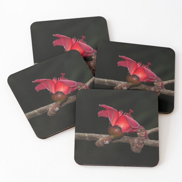 Item preview, Bombax ceiba designed and sold by andrachne.