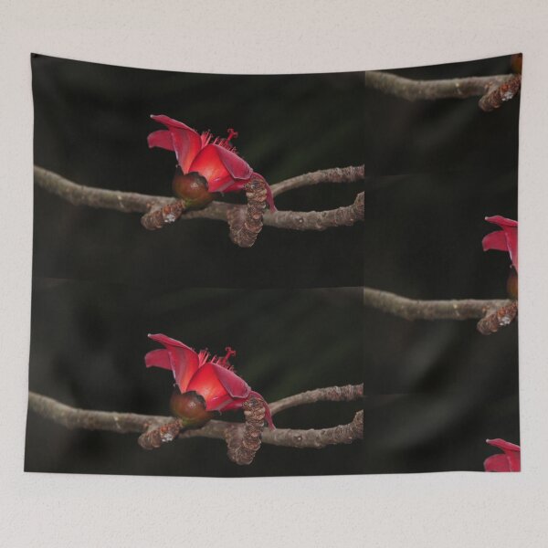 Item preview, Bombax ceiba designed and sold by andrachne.