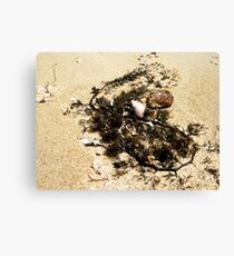 .. Jetsam Canvas Print