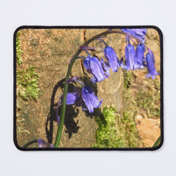 Item preview, Bluebells designed and sold by wiggyofipswich.