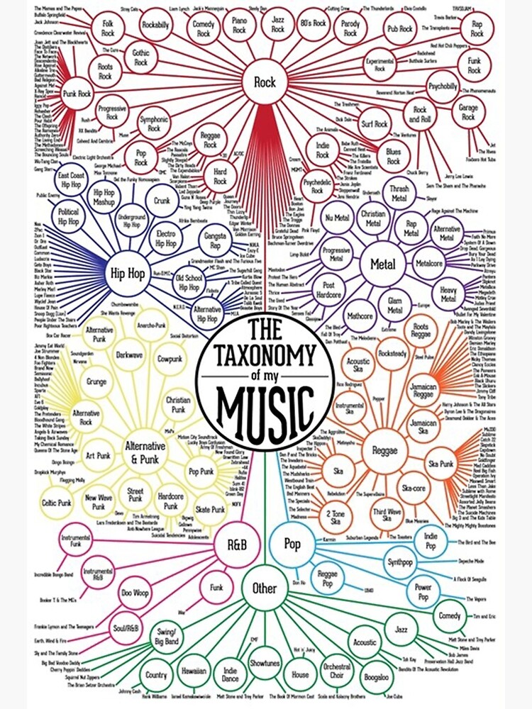 The Taxonomy Of My Music Poster Premium Matte Vertical Poster