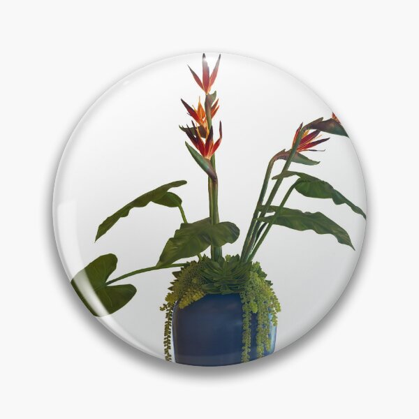 Item preview, Potted Succulent Bird of Paradise designed and sold by EschatonGarden.