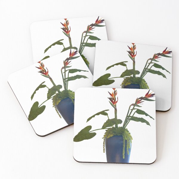 Item preview, Potted Succulent Bird of Paradise designed and sold by EschatonGarden.