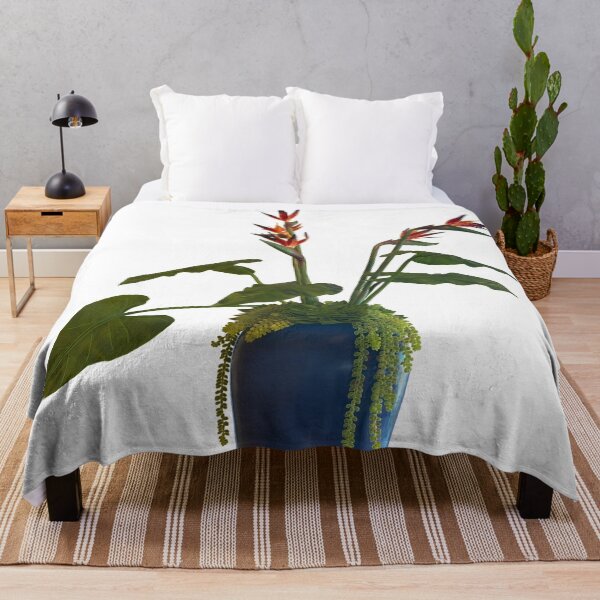 Aperçu de l'œuvre Oiseau de paradis succulent en pot créée et vendue par EschatonGarden.