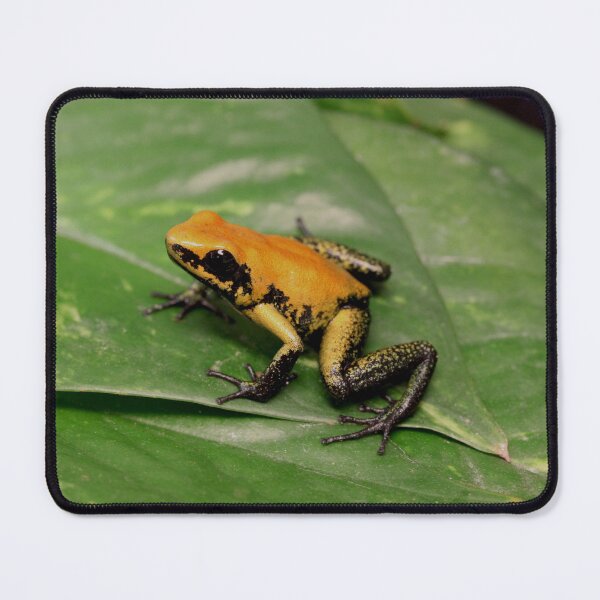 Item preview, Black-legged poison dart frog designed and sold by rootedrender.