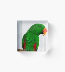 Ramu Acrylic Block
