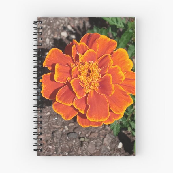 Item preview, TAGETES ERECTA designed and sold by PCCARES.
