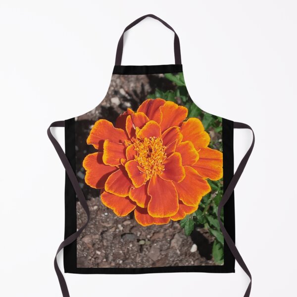 Item preview, TAGETES ERECTA designed and sold by PCCARES.