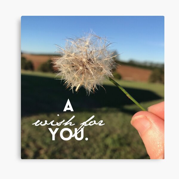 Wishes in the Wind Canvas Print