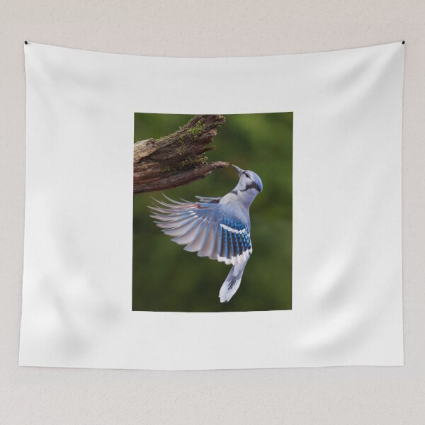 Item preview, Blue Jay in Flight designed and sold by MIRCEA COSTINA.