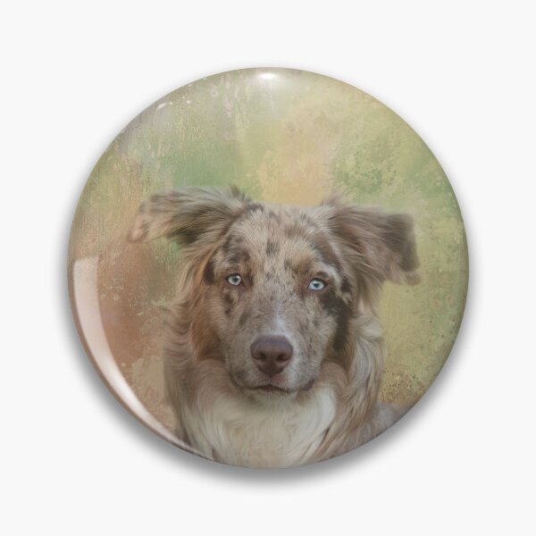 Item preview, Blue Merle Bicolor Australian Shepherd One designed and sold by Elisabeth Lucas.