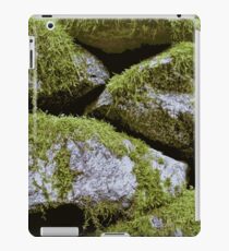 Moss, Rocks, Moss iPad Case/Skin