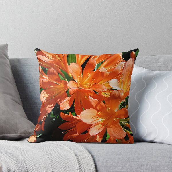 Item preview, Clivia, Fire Lily designed and sold by Maggie Hegarty.