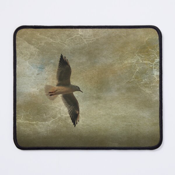 Item preview, Fly away designed and sold by momentaufnehmer.