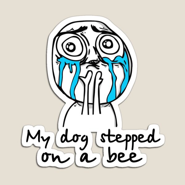 Dank Memes on X: My dog stepped on a bee  / X