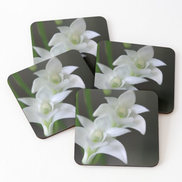 Item preview, Dendrobium kingianum var. alba. designed and sold by andrachne.