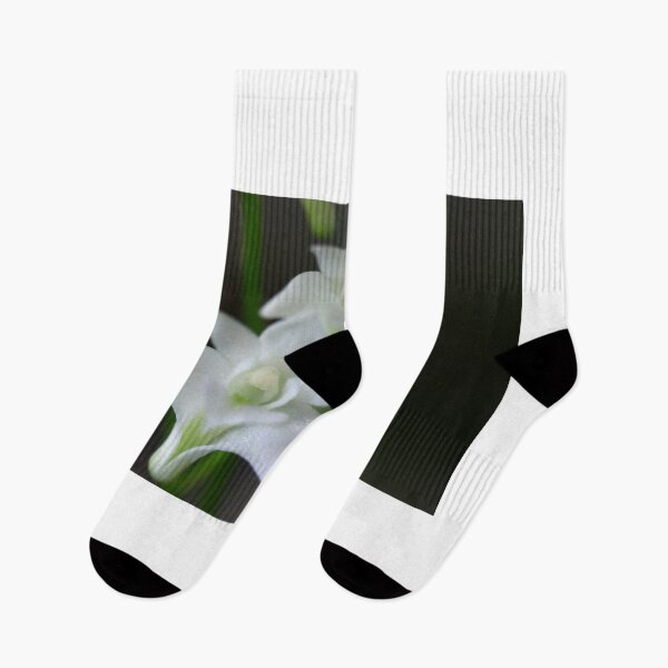 Item preview, Dendrobium kingianum var. alba. designed and sold by andrachne.