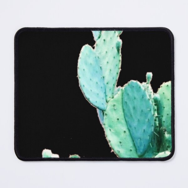 Item preview, Cactus designed and sold by UnityVerse.