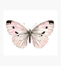 Butterfly flutter - soft peach Photographic Print