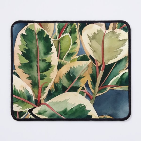 Item preview, Ficus Plant 1 designed and sold by Ana Moguš.