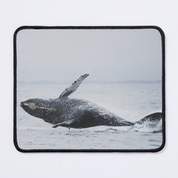 Item preview, bluewhale peeking from the water at the ocean designed and sold by ImRotem.