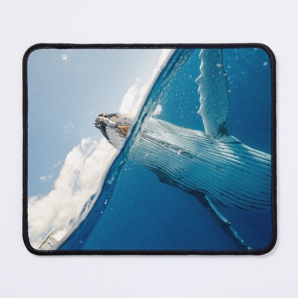 Item preview, bluewhale peeking from the water designed and sold by ImRotem.