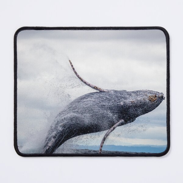 Item preview, Jumping bluewhale designed and sold by ImRotem.