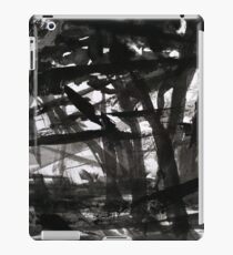 landscape 3 iPad Case/Skin