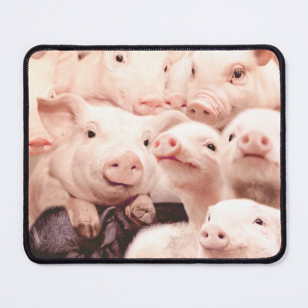 Item preview, Pigs designed and sold by MaxencePierrard.