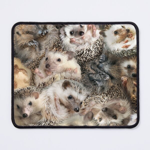 Item preview, Hedgehogs designed and sold by MaxencePierrard.