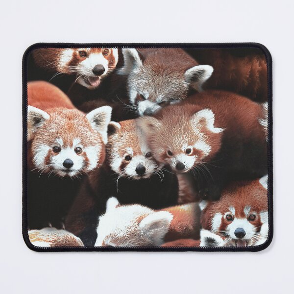 Item preview, Red Pandas designed and sold by MaxencePierrard.