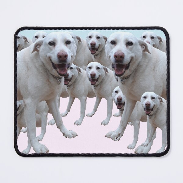 Item preview, Just a Happy Dog 2.  cute, sweet, cool, funny, dogs, dog, children, kids, pets, Redbubble. designed and sold by PrintedDreams.