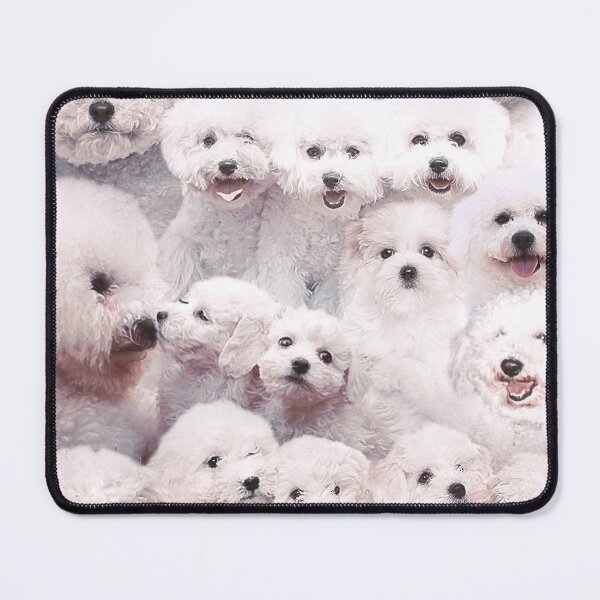 Item preview, Bichons - Dogs designed and sold by MaxencePierrard.