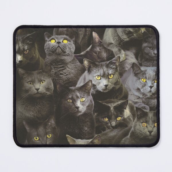 Item preview, Chartreux designed and sold by MaxencePierrard.