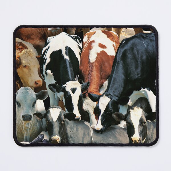 Item preview, Cows designed and sold by MaxencePierrard.
