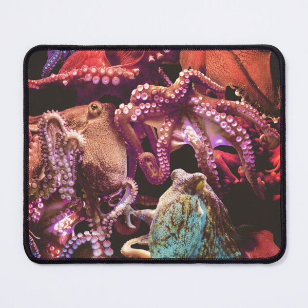 Item preview, Octopuses designed and sold by MaxencePierrard.