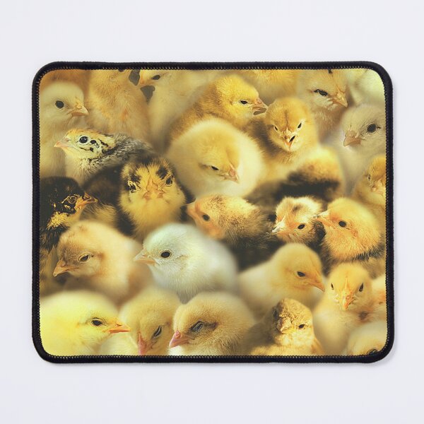 Item preview, Chicks designed and sold by MaxencePierrard.