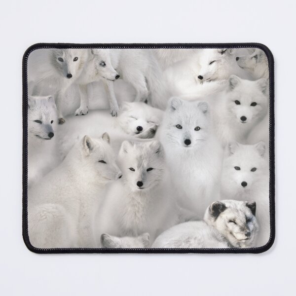 Item preview, Arctic Foxes designed and sold by MaxencePierrard.
