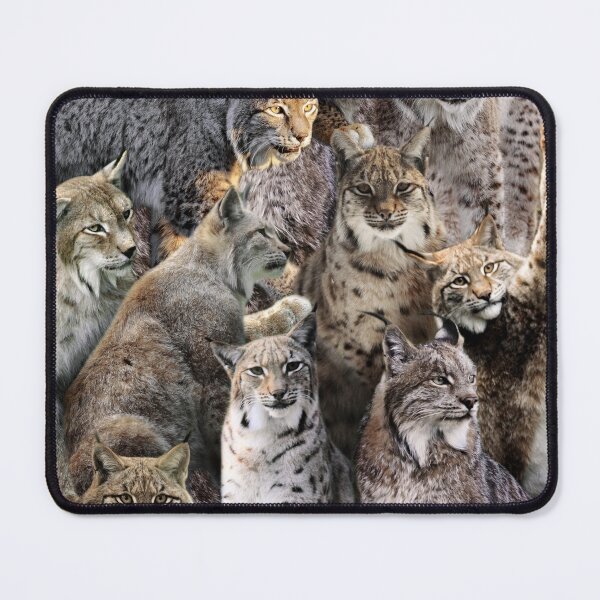 Item preview, Lynxes designed and sold by MaxencePierrard.