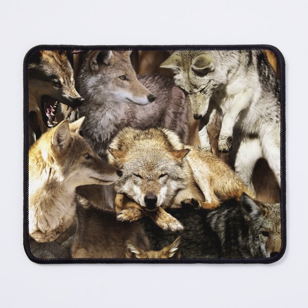 Item preview, Coyotes designed and sold by MaxencePierrard.