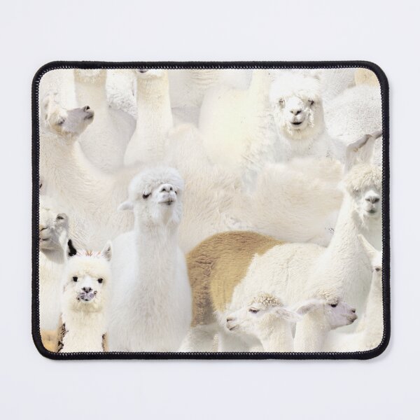 Item preview, Alpacas designed and sold by MaxencePierrard.