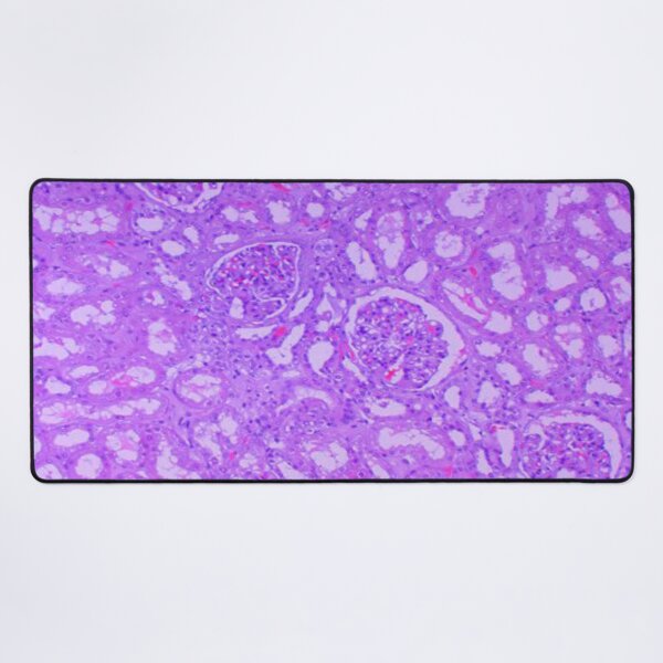 Item preview, Kidney tissue designed and sold by DarkiraVClemm.