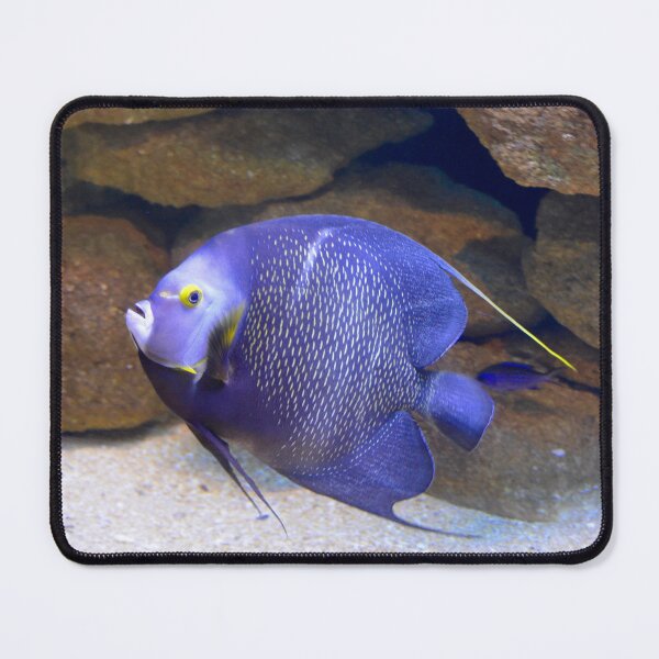 Item preview, Gliding French Angelfish designed and sold by richardbryce.