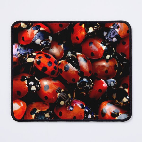Item preview, Ladybugs designed and sold by MaxencePierrard.