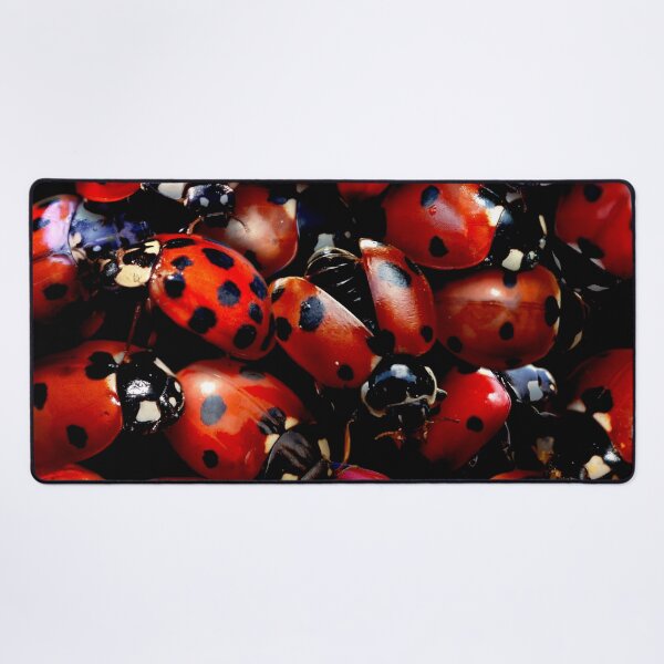 Item preview, Ladybugs designed and sold by MaxencePierrard.