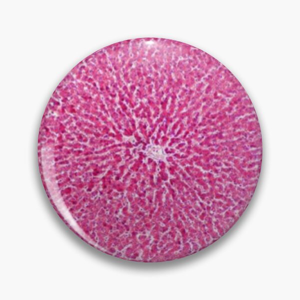 Item preview, Liver tissue designed and sold by DarkiraVClemm.