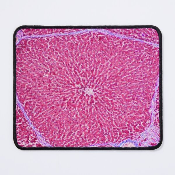Item preview, Liver tissue designed and sold by DarkiraVClemm.