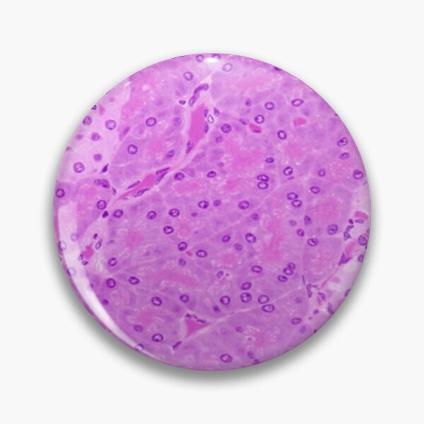 Item preview, Pancreas tissue designed and sold by DarkiraVClemm.