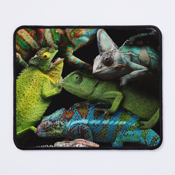 Item preview, Chameleons designed and sold by MaxencePierrard.